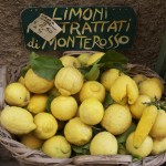 IMG_7866 IMG_7866