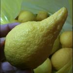 Sour Power (part A) | Cool lemonade